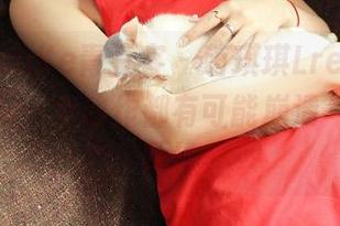 QingDouKe青豆客 – 萌琪琪Lrene运动时光：每一个动作都有可能崩溃—原图更新！